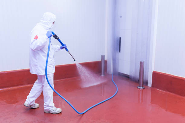 Spring Cleaning in Horatio, AR